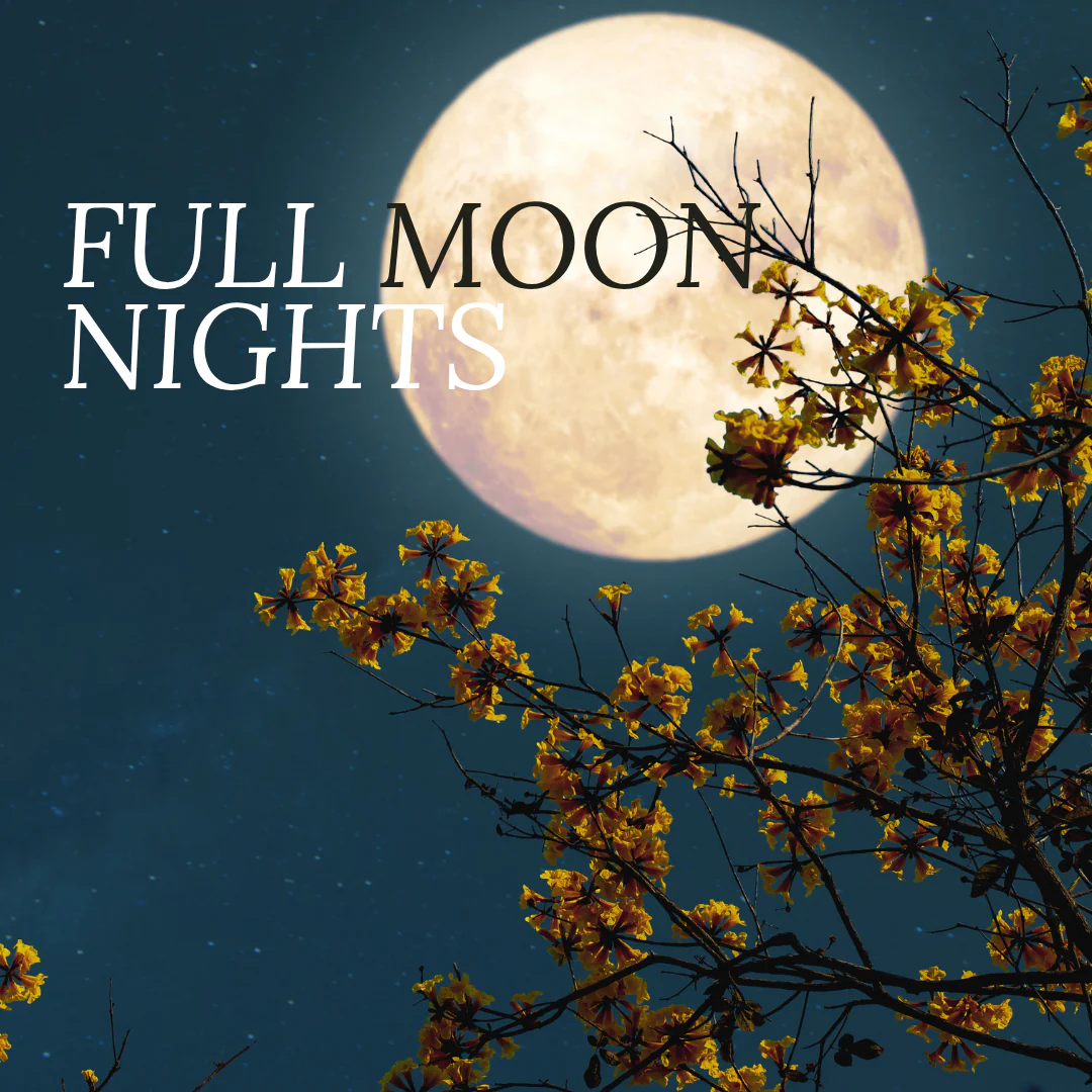 Full Moon Nights